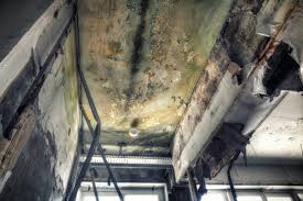 Best Comprehensive Air Testing for Mold Contaminants  in Frankfort, OH